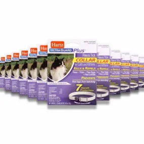 Hartz -UltraGuard Plus Flea & Tick Collar for Cats & Kittens - 1 Ct Each -  12 Pack