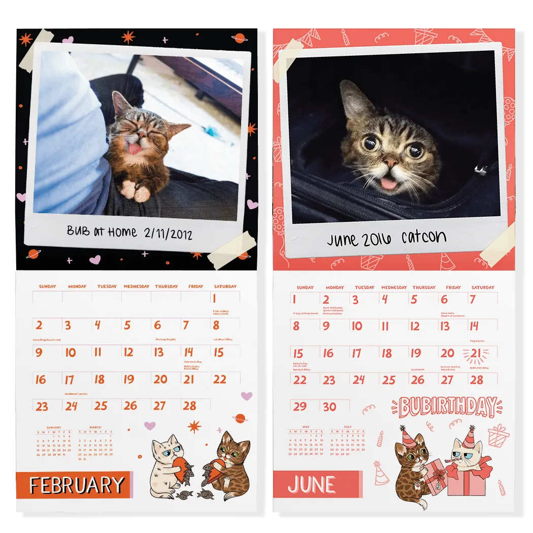 Lil BUB's "Irresistibly Nostalgic" 2025 Wall Calendar