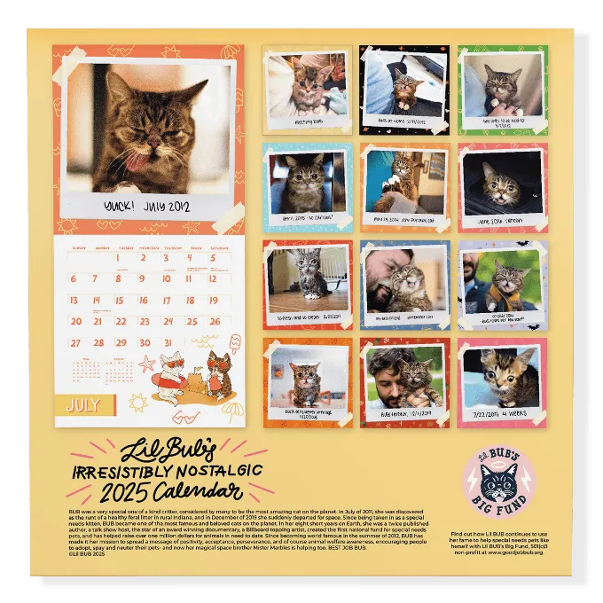 Lil BUB's "Irresistibly Nostalgic" 2025 Wall Calendar