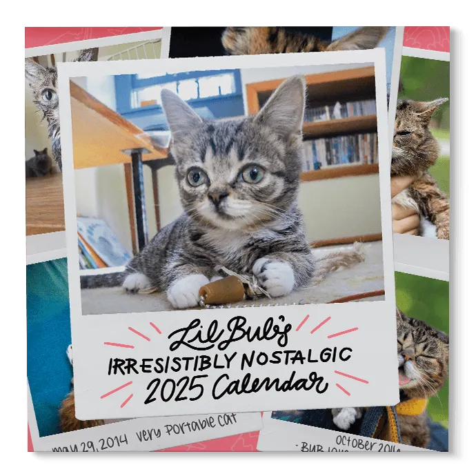 Lil BUB's "Irresistibly Nostalgic" 2025 Wall Calendar